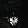 230 – L’araignée de nuit
